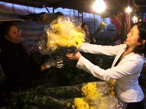 Welcome to InterContinental Hanoi Westlake