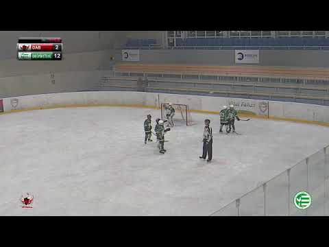 U12 11 Dunaújvárosi Acélbikák - UNI GYŐR ETO HC 23.10.08.