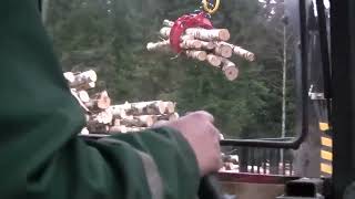 Farmi Forest FT7 erdészeti pótkocsi CR36 daruval – akciós áron, raktárról