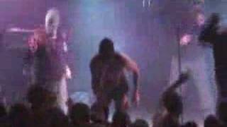 TISM - Greg the Stop Sign live