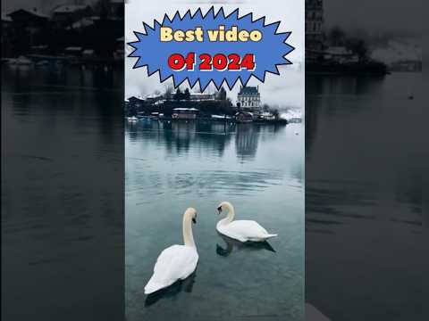 O hansani kaha ud chali #lovestatus #reels #nocopyrightvideo