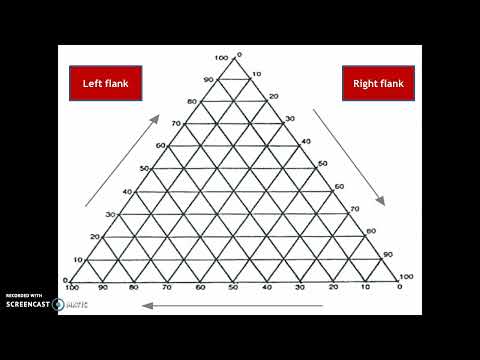 TRIANGULAR GRAPHS (Reading & Understanding)