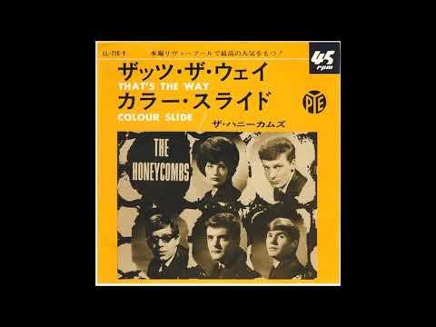 The Honeycombs Colour Slide (Live Radio Session, 1965. Unreleased)