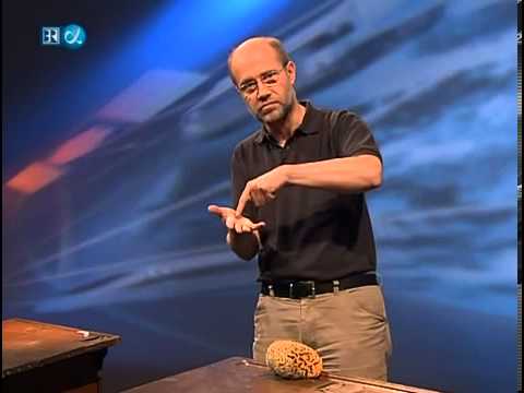 Alpha.Centauri.-.179.-.Warum.fliegt.nicht.alles.auseinander