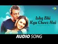 Ishq Bhi Kya Cheez Hai | इश्क़ भी क्या चीज़ है | Kurukshetra | Kumar Sanu | Alka Yagni