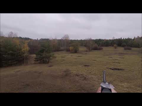 Wild Boar driven hunting in Czech Republic 03 11 2018 part 1
