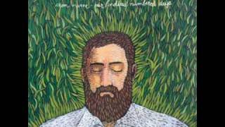 Iron and Wine, Fever dream