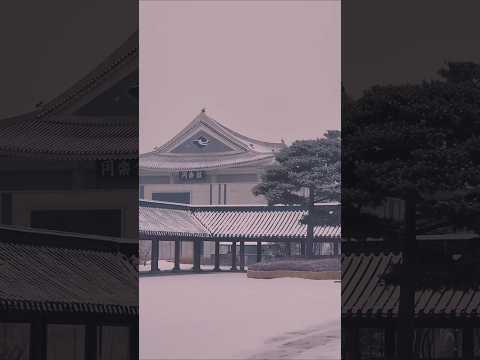 하얀 눈이 쌓인...❄️ 경북