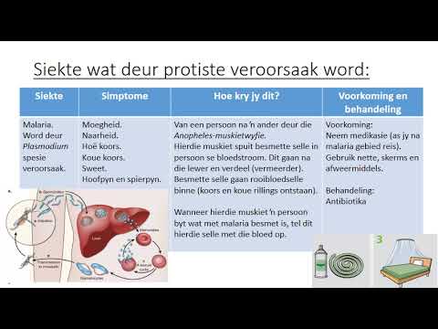 Lewenswetenskap GRAAD 8: 14 Mei 2020 - periode 7 (14087)