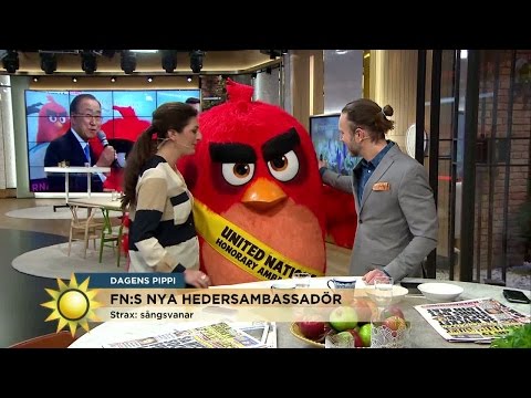 FN:s nya hedersambassadör - Nyhetsmorgon (TV4)