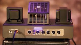 Review Demo - Ampeg PF-50T