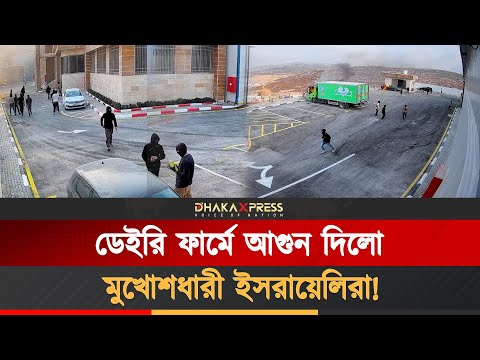 পশ্চিম তীরের আল-জুনাইদি ডেইরি ফার্মে মুখোশধারীদের আক্রমণ!