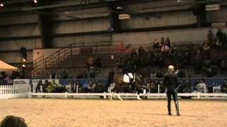 Video koně neznámé