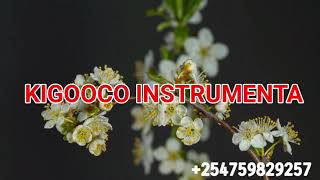 Kigooco instrumental beat Best for the service