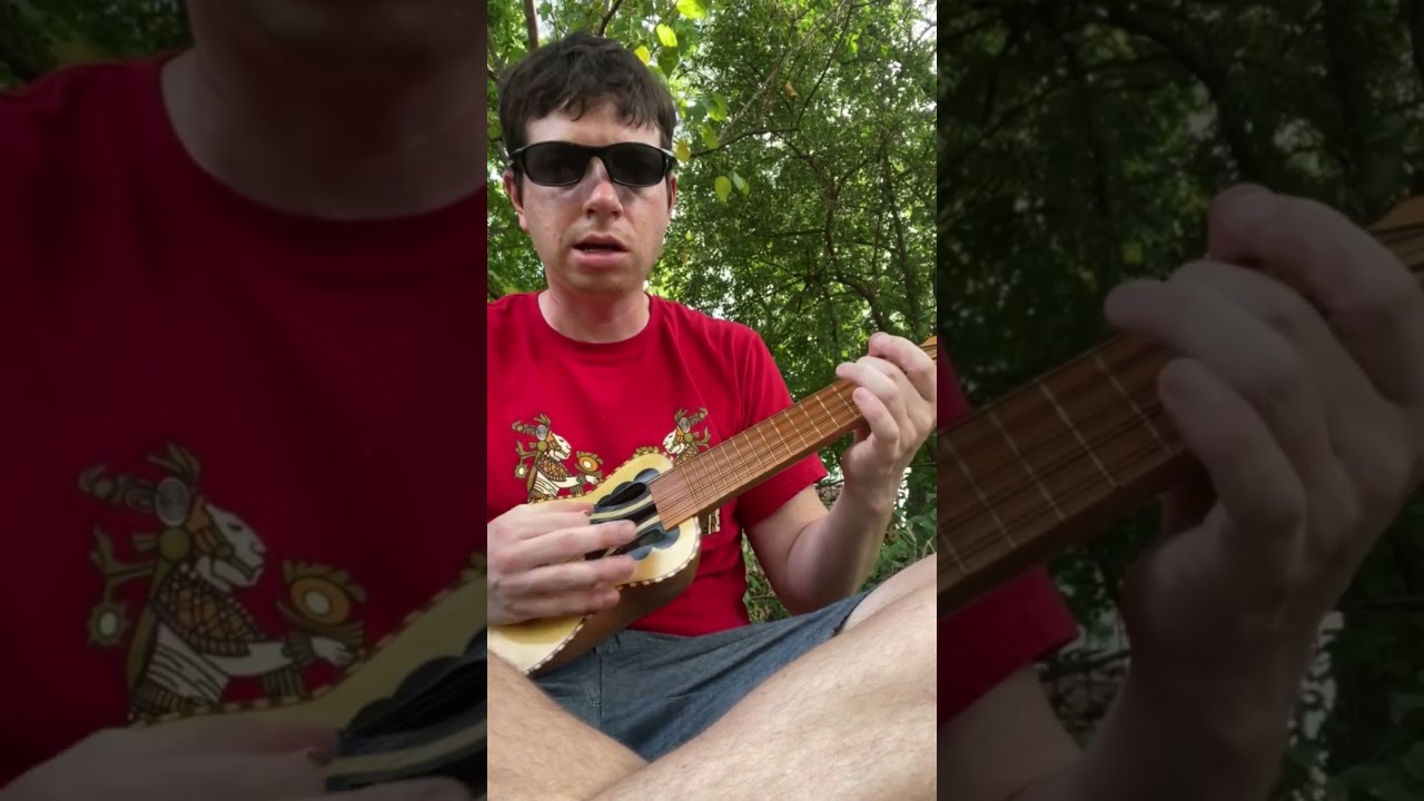 riffing on a charango