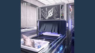 Cover art for Slingshot (＜★)