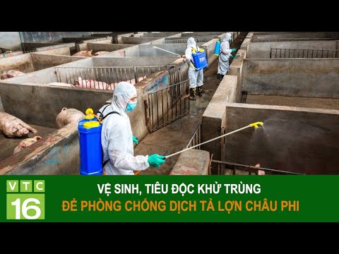 , title : 'Vệ sinh, tiêu độc khử trùng để phòng chống dịch tả lợn châu Phi | VTC16'