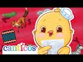 Learn Consonants XYZ Learn ABC Nursery Rhymes Preschool Education Canticos