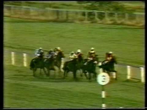 1982 William Hill Futurity Stakes