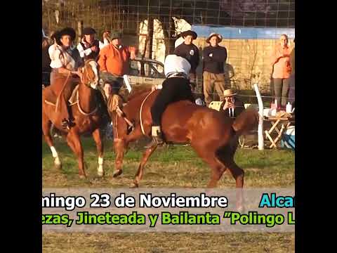 Broche de oro en Clina en Los Naranjos Hasenkamp Entre Ríos Parte 1