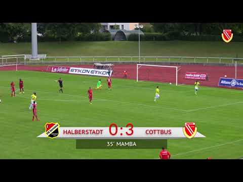 6. Spieltag VfB Germania Halberstadt - FC Energie Cottbus - Die Highlights