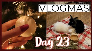 A cosy evening of nails and bunnies! | Vlogmas