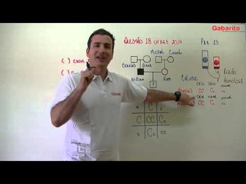 Gabarito Corrige - UFRGS 2014 Biologia - Questão 18