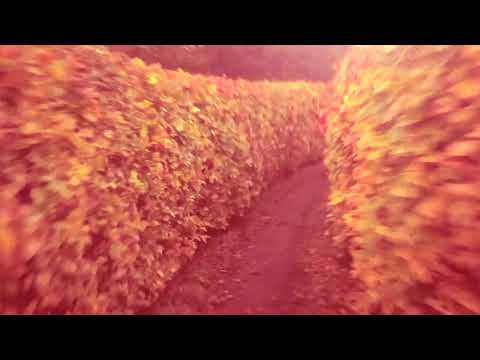 Va Banque in Einzelteilen - Preview