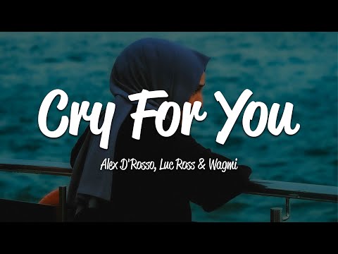 Alex D'Rosso, Luc Ross, WAGMI - Cry For You (Lyrics)