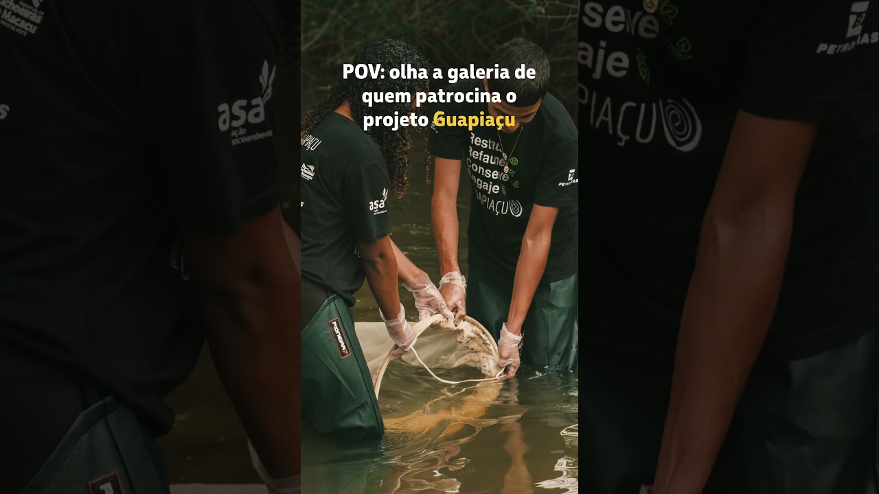 Preservação e educação ambiental em Cachoeira de Macacu, na Mata Atlântica do Rio de Janeiro