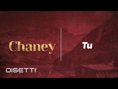 Tu - Conjunto Chaney & Eddie Santiago | Salsa con Letra Romántica