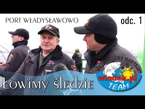 WładekTV - Łowimy ŚLEDZIE z wladek.pl TEAM w samo południe (odc.1)