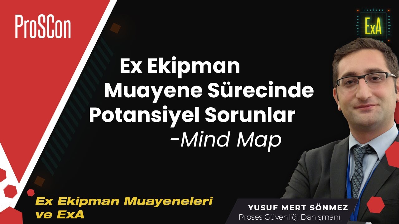 Potential Issues in Ex Equipment Inspection Process - Mind Map