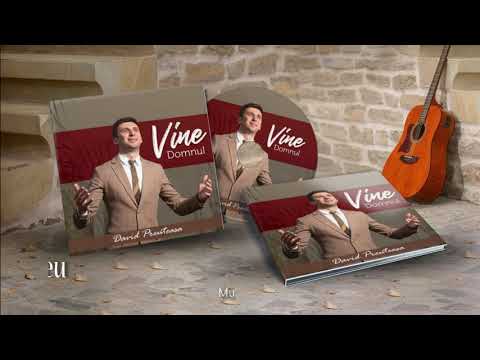 David Preuteasa - "VINE DOMNUL" (Demo Album 2019)