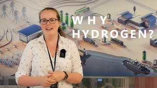 Virtual-FCS: Why Hydrogen