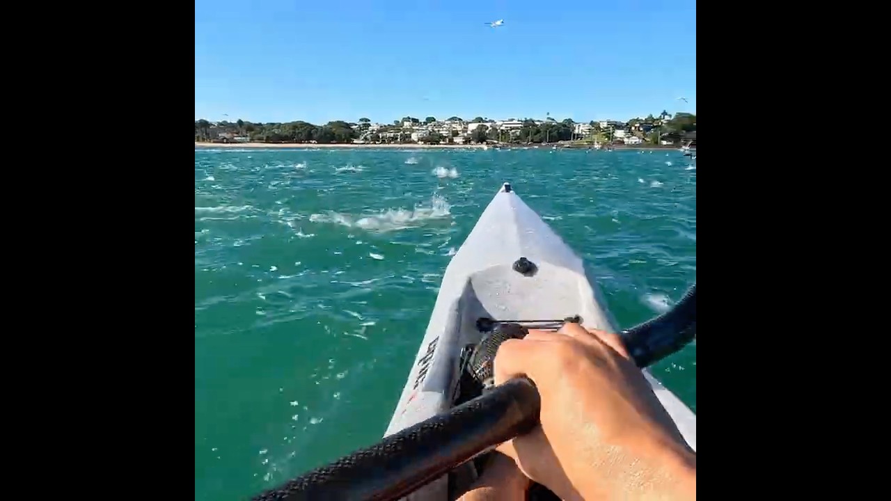 Boiling sea! #surfski #jumpingfish #kayaking #newzealand
