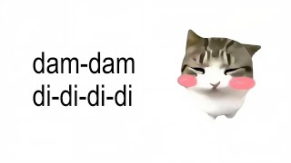 Download lagu Dam Dam DidiDidi Cat - Lyrics mp3 Download lagu Dam Dam DidiDidi Cat - Lyrics mp3