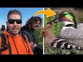 MOST SUCCESSFUL BIRD ADVENTURE YET This Year In The Netherlands