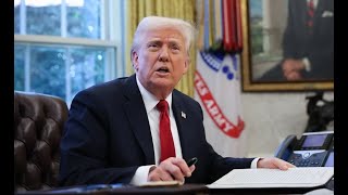 Democrats go on OFFENSE, target Trump where it hurts most