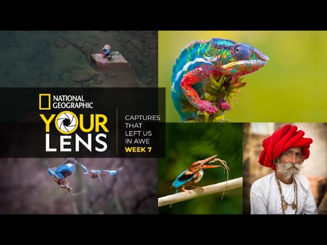 Your Lens: Captures That Left Us in Awe | Week 7