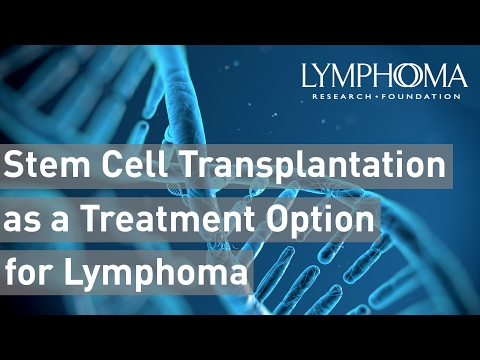 Stem Cell Transplantation as a Treatment Option for Lymphoma | Everything You Need to Know
