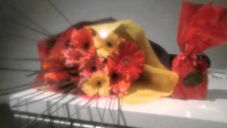 &quot;With Love&quot; Words and Music by Terry Halliday. Performed by Xanthe