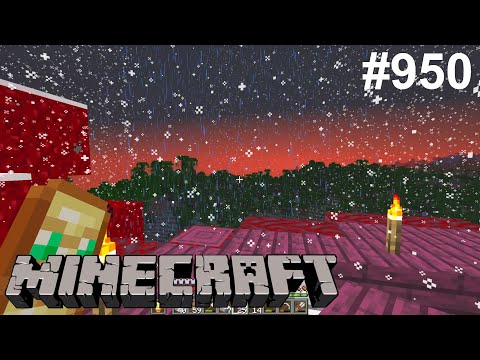 Minecraft (Deutsch) - #950 - 🙀Phantome im Schneegestöber!🙀