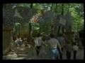 Deer Forest 