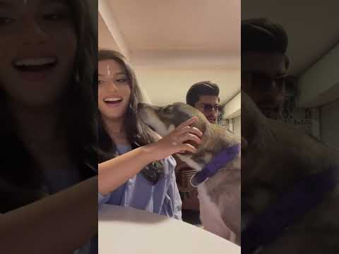 ✨AYYO SAAMI🐌✨ with @SANUKA ft. Dandy😂