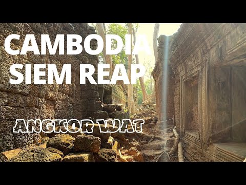 🇰🇭 Cambodia Angkor Wat and Night Market!