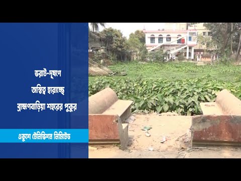 অস্তিত্ব হারাচ্ছে ব্রাহ্মণবাড়িয়া শহরের পুকুর
