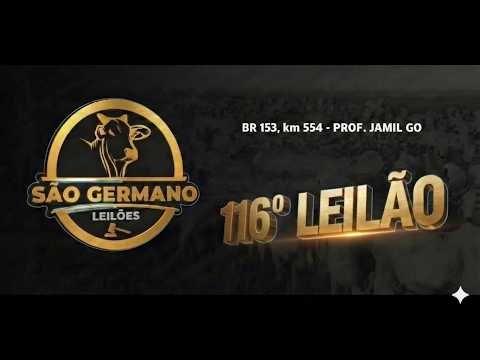116º -  LEILÃO  SÃO GERMANO LEILÔES /16.MAR SEGUNDA-FEIRA 19h / BR 153, km 554 - PROF. JAMIL GO