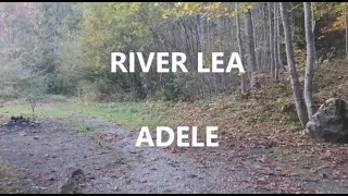 RIVER LEA - ADELE (Lyrics)