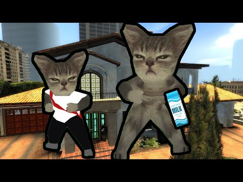 HERMY THE CAT MEETS MR. THE CAT! WILL THEY GET ON? THE BEST BROTHERS IN THE WORLD!